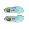 Roadfly (W)